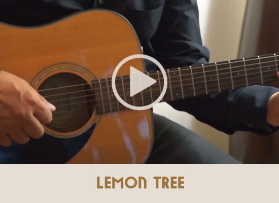 Lemon-Tree-Groupe-de-Jazz-Lyon